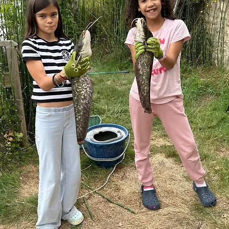 1 Bord De Riviere 3* Damvix